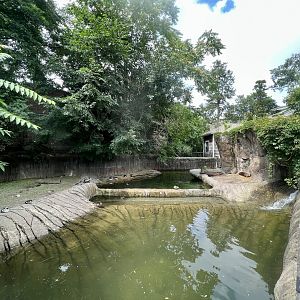 American Beaver Exhibit