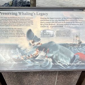 New Bedford Whaling Museum