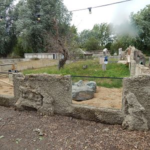 Meerkat and African crested porcupine exhibit 150723