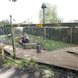 Silver fox enclosure 150723