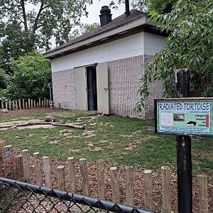 Radiated Tortoise enclosure