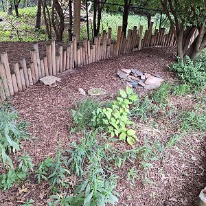 Box Turtle enclosure