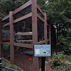 Red Ruffed Lemur enclosure