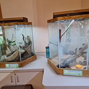 ZooLab terrariums