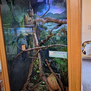 Boa Constrictor Enclosure