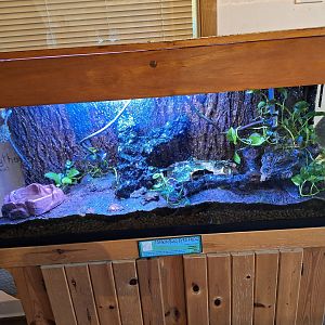 In the Zoo Lab, July 18, 2023