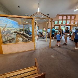 ZooLab Overview (Dwarf Mongoose, Terrariums)