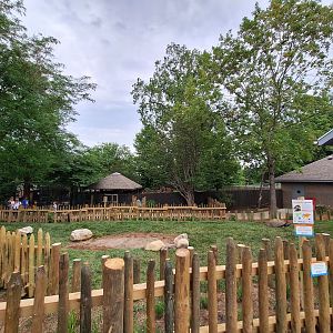 New Galapagos Tortoise Exhibit