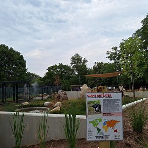 New Giant Anteater Exhibit