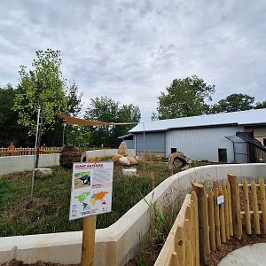 Giant Anteater exhibit