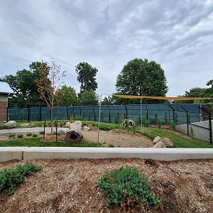 New Chilean Pudu Exhibit