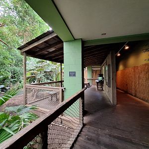 Rainforest station