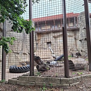 Sumatran Tiger enclosure