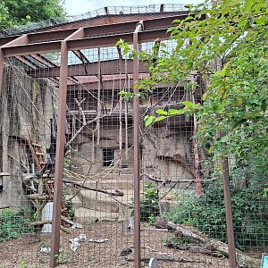 Mueller's Gibbon Enclosure
