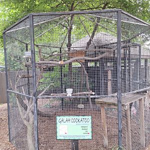 Galah Cockatoo enclosure