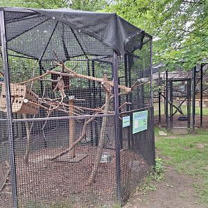 Cockatoo and Frogmouth enclosures