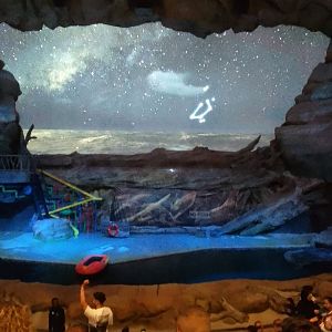 Sea lion stage SeaWorld Abu Dhabi