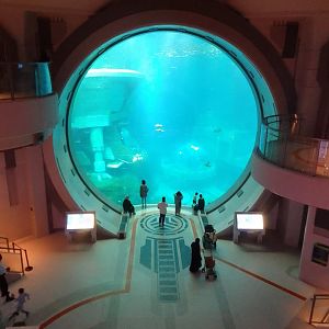 Endless Ocean main window SeaWorld Abu Dhabi