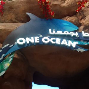 Some orca reference all around SeaWorld Abu Dhabi