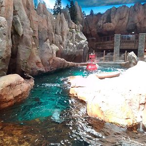 Sea lion enclosure SeaWorld Abu Dhabi