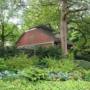 Garden area and backside of the North American porcupine exhibit, 2022-07-10
