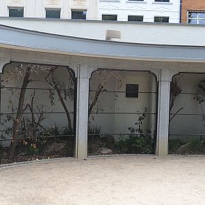 Swift parrot, Blue-faced honeyeater and Long-tailed finch aviary, 2022-07-10