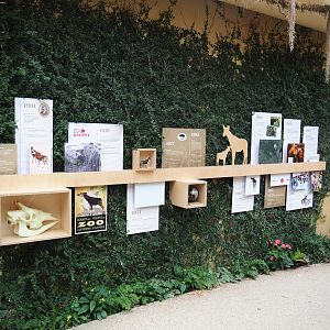 Okapi timeline educational signage, 2022-07-10