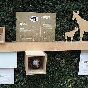 Okapi timeline educational signage, 2022-07-10