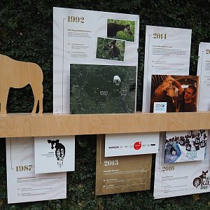 Okapi timeline educational signage, 2022-07-10