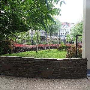 Okapi paddock at the backside of the Moorish temple, 2022-07-10