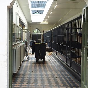 Interior of the Moorish temple with okapi stalls, 2022-07-10