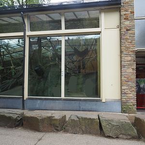 Western lowland gorilla/Eastern lowland gorilla indoor exhibit and keeper access to the ape house, 2022-07-10