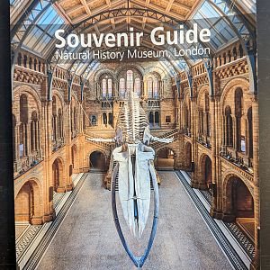 Souvenir Guide: Natural History Museum, London