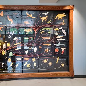 Toledo, Promedica Museum - Inside entrance