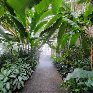 Toledo, Promedica Museum - Tropics