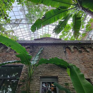 Toledo, Promedica Museum - Tropics, looking up