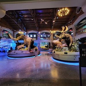 Toledo, Promedica Museum - Ohio: After the Ice