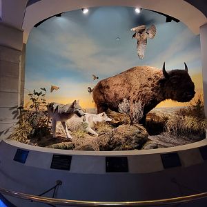 Toledo, Promedica Museum - Ohio: After the Ice