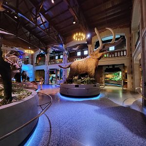 Toledo, Promedica Museum - Ohio: After the Ice