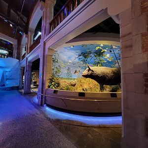 Toledo, Promedica Museum - Ohio: After the Ice