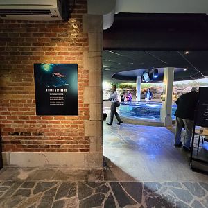 Toledo, Promedica Museum - Rivers & Streams