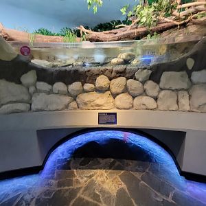 Toledo, Promedica Museum - Rivers & Streams