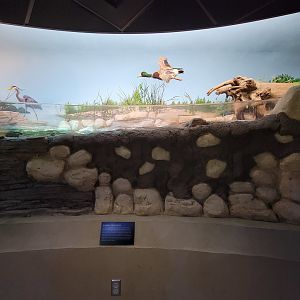 Toledo, Promedica Museum - Rivers & Streams