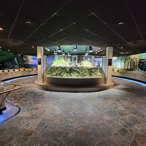 Toledo, Promedica Museum - Wetlands & Lakes