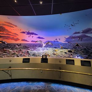 Toledo, Promedica Museum - Wetlands & Lakes, dioramas