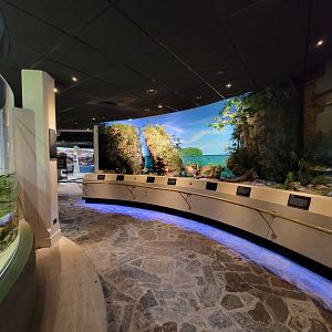 Toledo, Promedica Museum - Wetlands & Lakes, dioramas