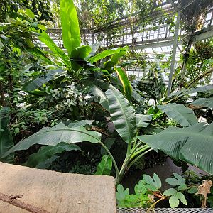 Toledo, Promedica Museum - Tropics, upstairs