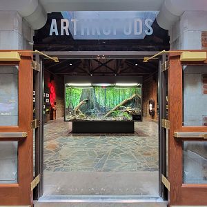 Toledo, Promedica Museum - Anthropods room