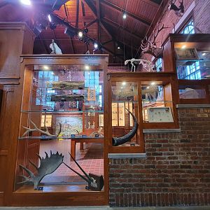 Toledo, Promedica Museum - Nature in Hand