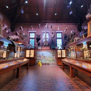 Toledo, Promedica Museum - Nature in Hand